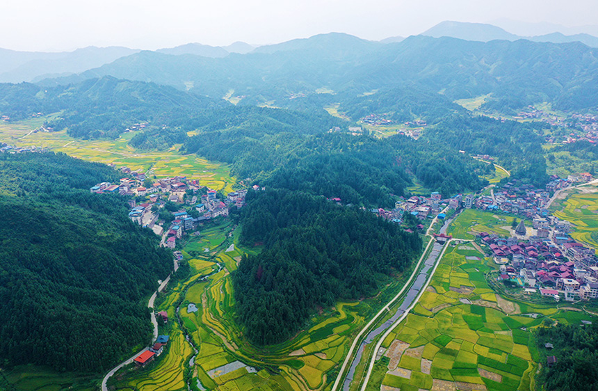 广西融水：苗山深处沃野生金