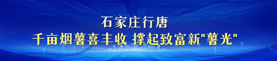 金色收获 美丽河北 | 硕果挂枝头 收获好“丰”景