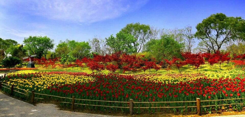 美景山东｜济南植物园：奥妙无穷的植物王国