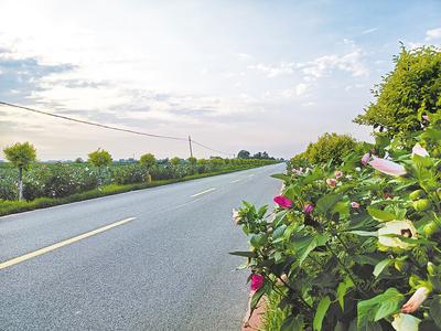 河北乐亭：修一条路 造一片景 惠一方人