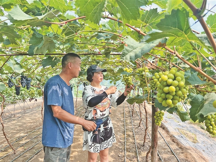 醉美乡间游 田园变乐园