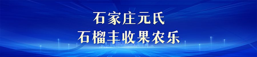 金色收获 美丽河北｜中秋迎丰收 田野果实香