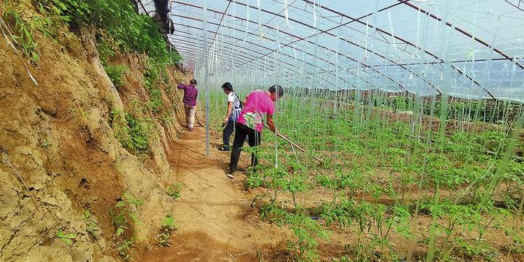 让搬迁群众稳得住能致富 ——渭南市积极实施易地扶贫搬迁助力脱贫攻坚扫描