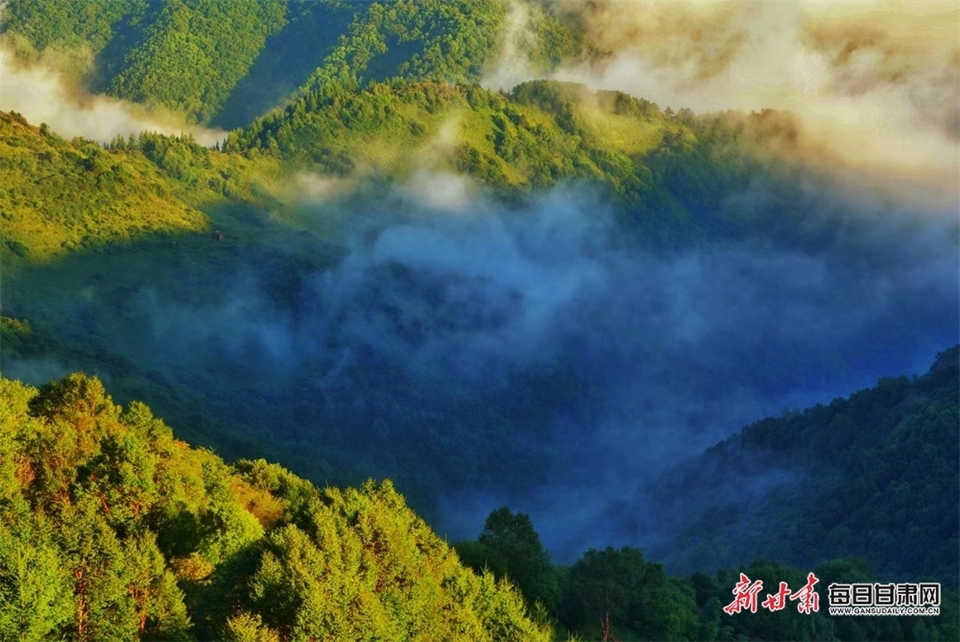 【平凉】平凉华亭关山莲花台景区出现壮美云海景观_fororder_3