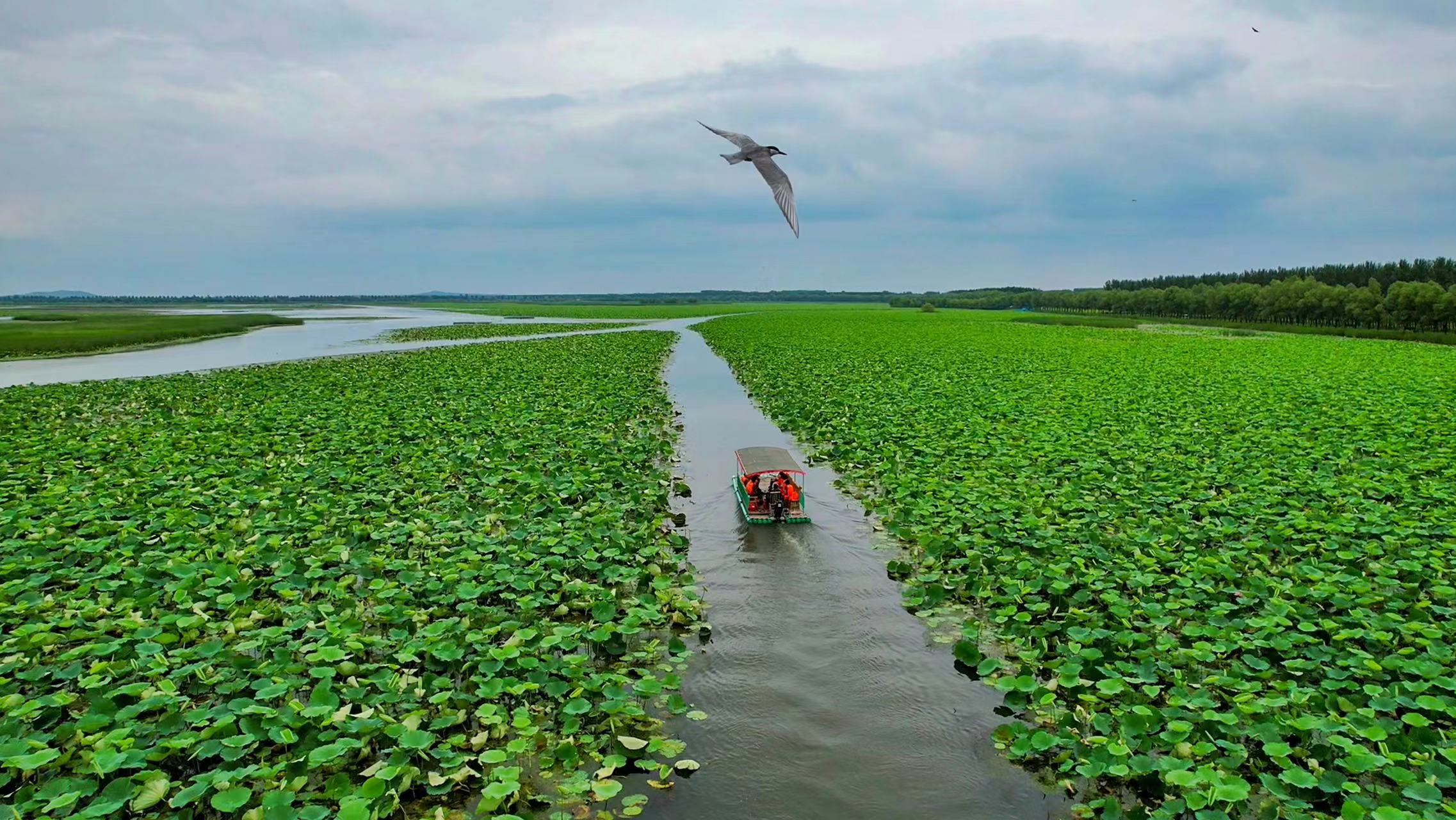 暑热难耐？快来沈阳避暑 沈阳市文旅局推出“夏有凉风 避暑沈阳”2022沈阳避暑游线路