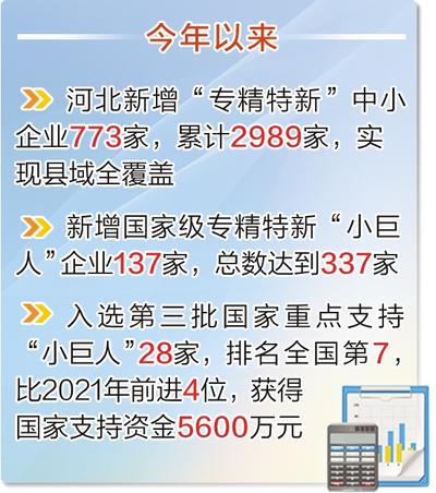 今年以来 河北新增专精特新“小巨人”137家