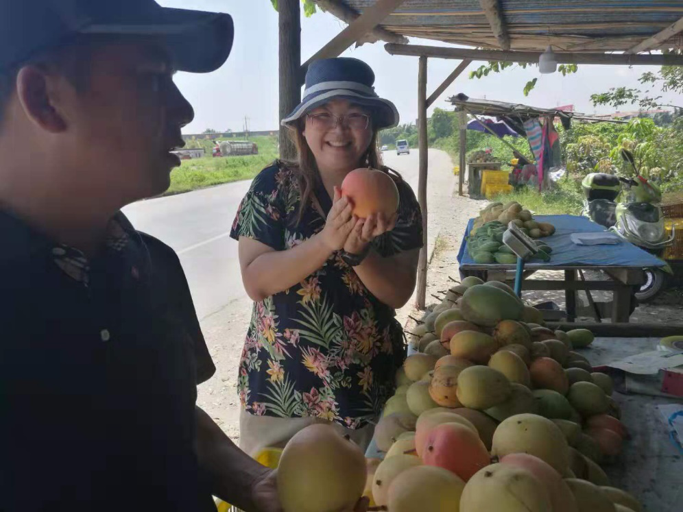 泰国杰出青年卡万哈泰·塔侬集的“芒果情缘”