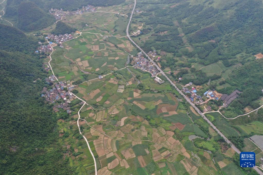 广西融安：秋日田园美