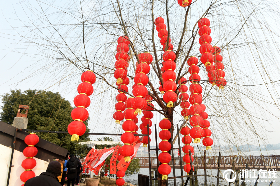 “小候鸟”结对 杭州水乡迎新年