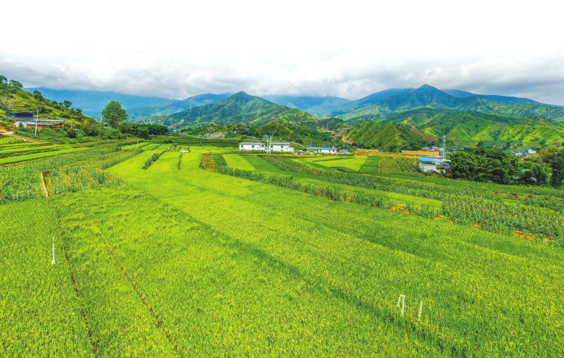 （转载）在攀枝花市仁和区 遇见四川最南端的诗意与繁华