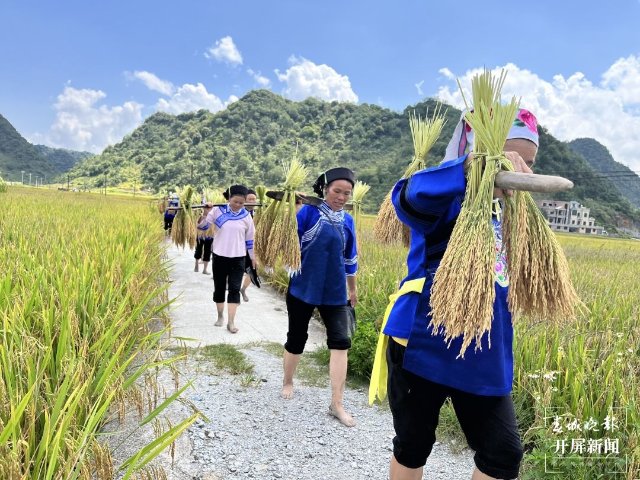 文山广南：八宝“尝新节” 欢声笑语庆丰收