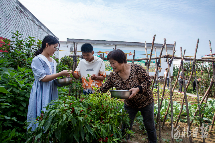 河北邯郸市复兴区：美丽乡村东高河