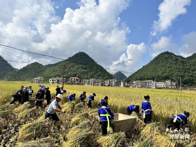 文山广南：八宝“尝新节” 欢声笑语庆丰收