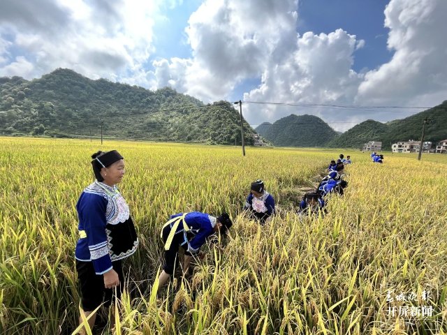 文山广南：八宝“尝新节” 欢声笑语庆丰收