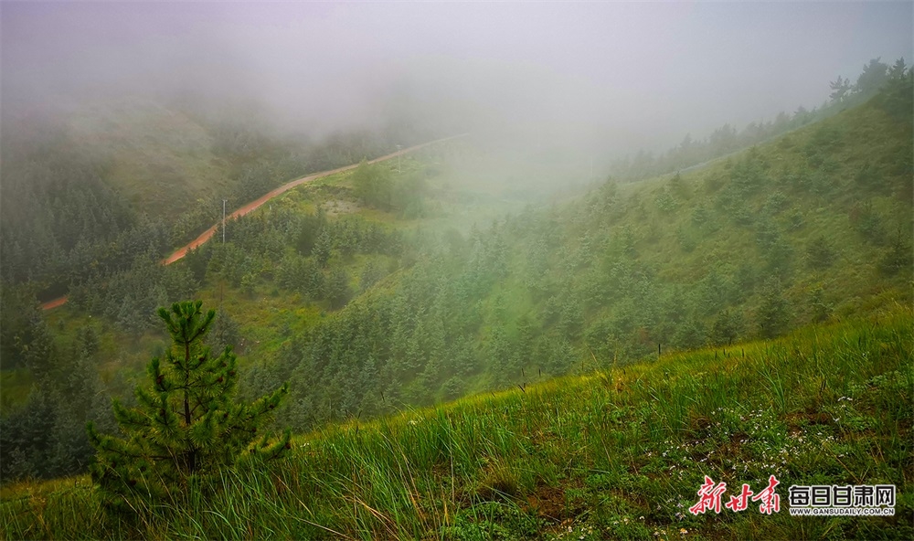 【大美甘肃】白银景泰寿鹿山：云雾绕山峦 秋日画意浓_fororder_4