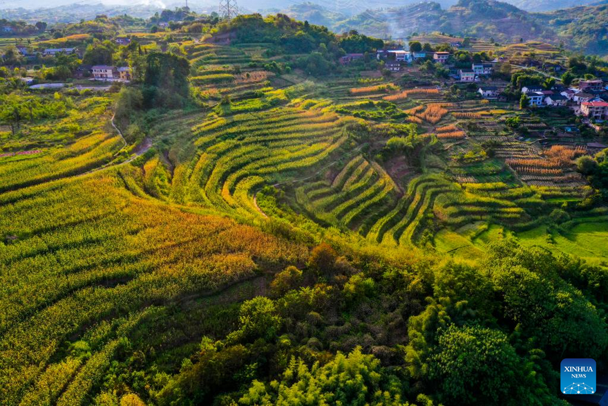 Scenery of Shiping Village in Chongqing, SW China_fororder_图片2