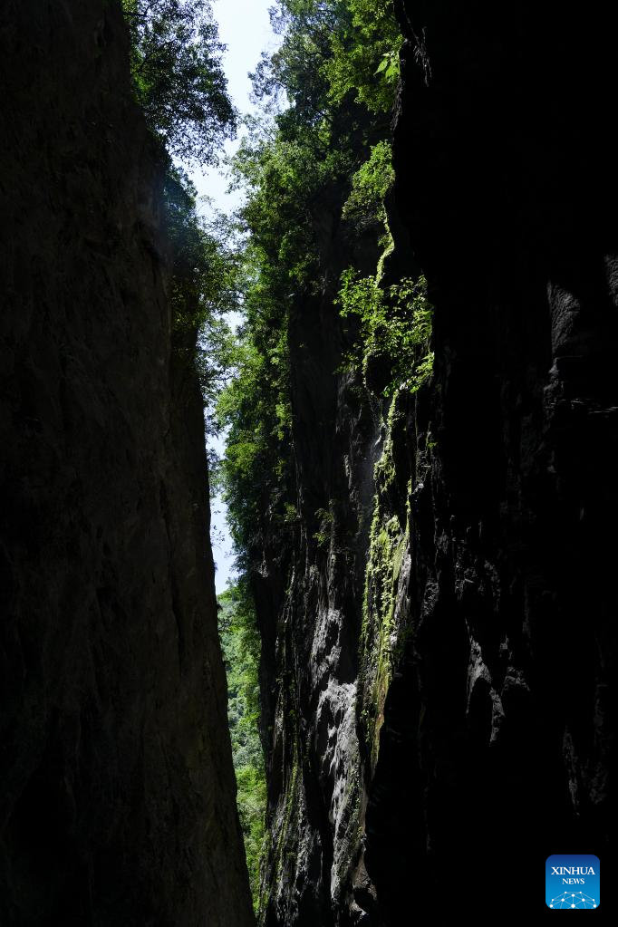 View of Chongqing Wulipo National Nature Reserve in Wushan County, Chongqing_fororder_图片13