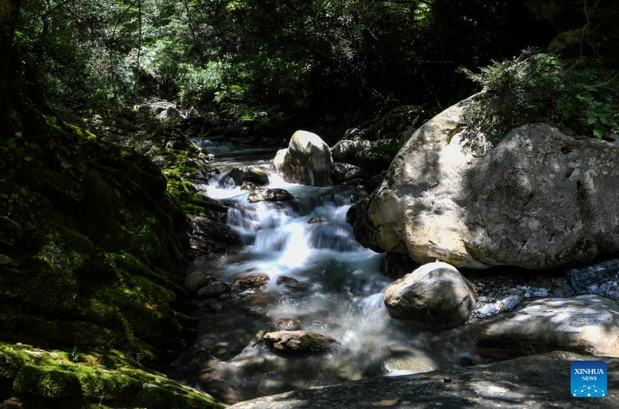 View of Chongqing Wulipo National Nature Reserve in Wushan County, Chongqing_fororder_图片16