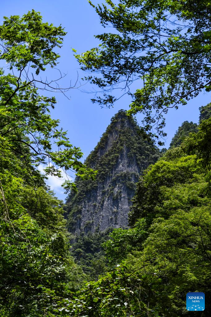 View of Chongqing Wulipo National Nature Reserve in Wushan County, Chongqing_fororder_图片20