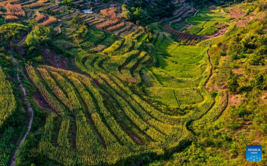 Scenery of Shiping Village in Chongqing, SW China_fororder_图片6