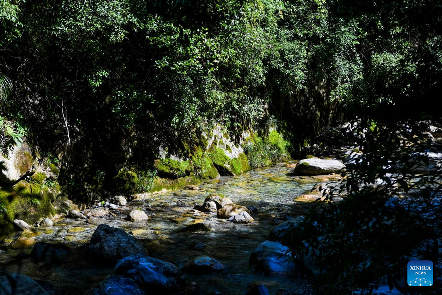 View of Chongqing Wulipo National Nature Reserve in Wushan County, Chongqing_fororder_图片8