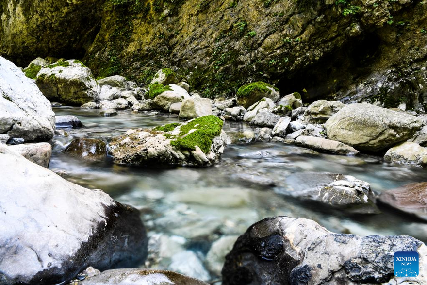 View of Chongqing Wulipo National Nature Reserve in Wushan County, Chongqing_fororder_图片19