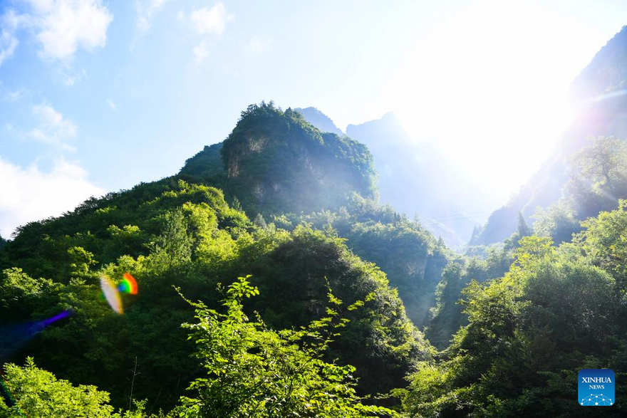 View of Chongqing Wulipo National Nature Reserve in Wushan County, Chongqing_fororder_图片11