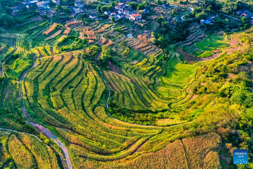 Scenery of Shiping Village in Chongqing, SW China_fororder_图片4