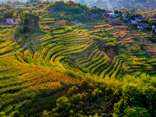 Scenery of Shiping Village in Chongqing, SW China