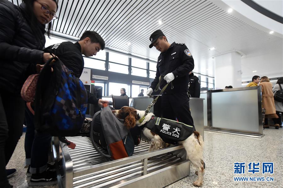 【焦点图】重庆：警犬助阵保平安