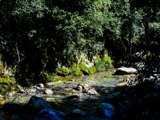 View of Chongqing Wulipo National Nature Reserve in Wushan County, Chongqing_fororder_1