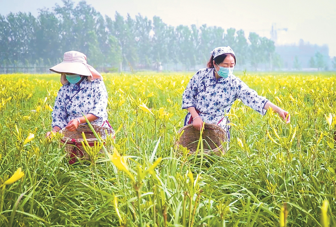 农业文化遗产 “苏写”时代荣光