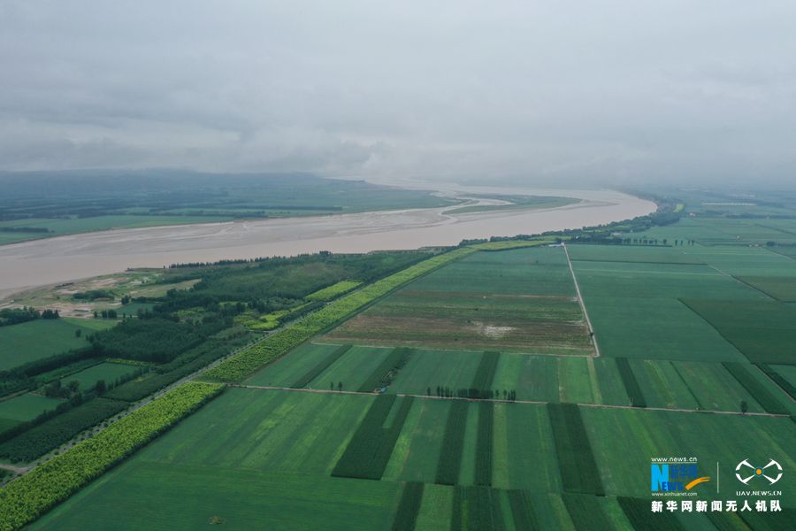 【城市远洋】河南温县：黄河滩区雨后展新颜