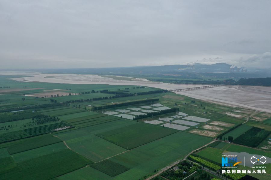 【城市远洋】河南温县：黄河滩区雨后展新颜