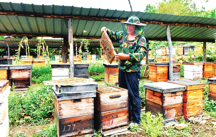 白山市建设"中国绿色有机谷·长白山森林食药城"掠影