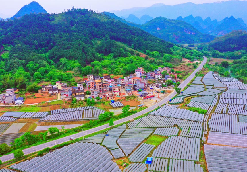 通往秋天的“壮美公路”