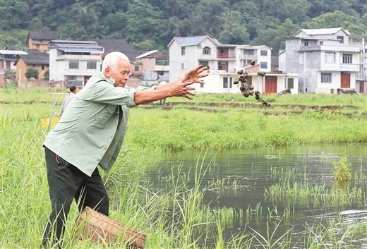 “万亩螺塘”助脱贫