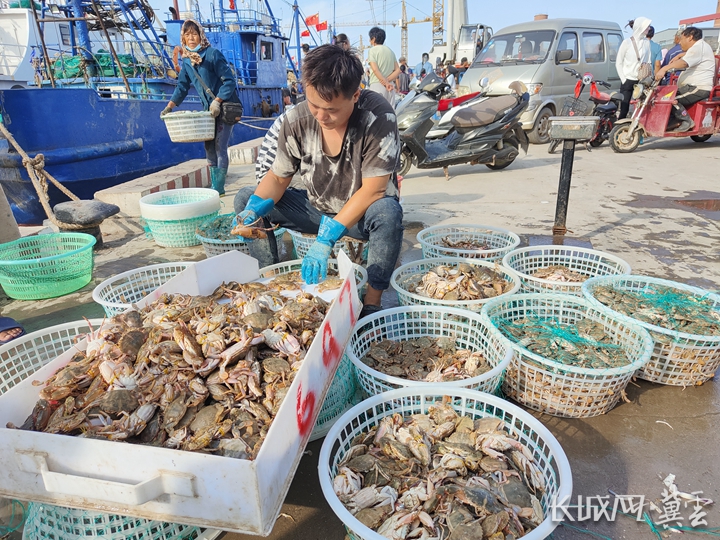 开海“冀” | 沧州：开渔“第一网” 尝鲜正当时