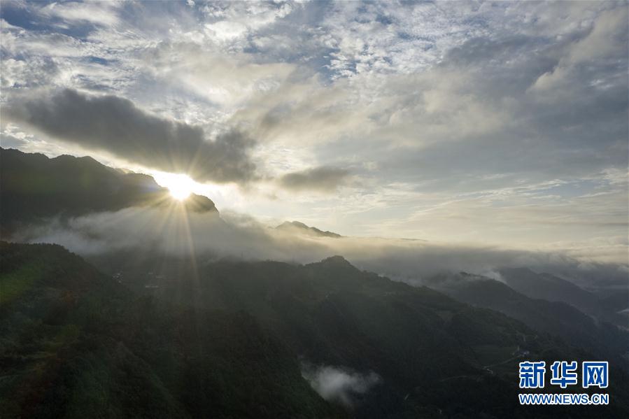 湖北兴山：朝天吼云雾