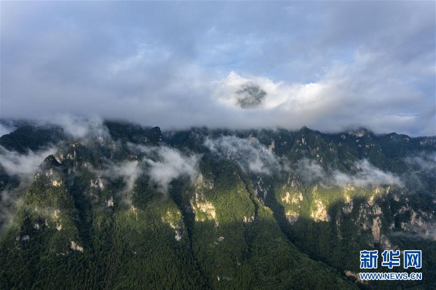 湖北兴山：朝天吼云雾