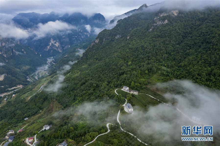 湖北兴山：朝天吼云雾