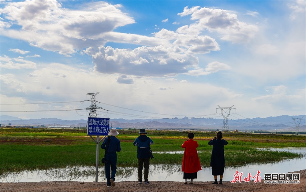 【轮播图】白银景泰盐沼湿地：秋水澄澈映白云 晚霞如锦铺天际_fororder_1