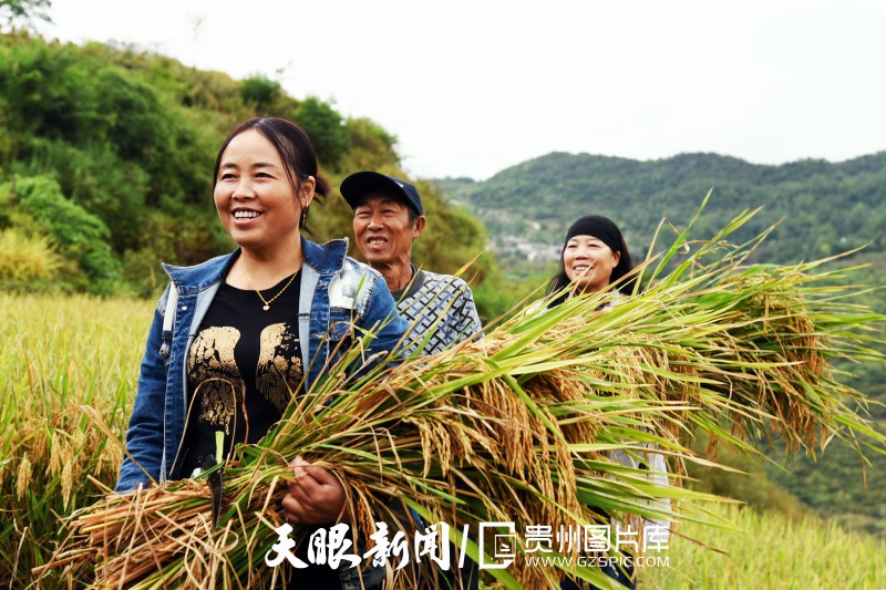 贵州大地五彩“丰”景