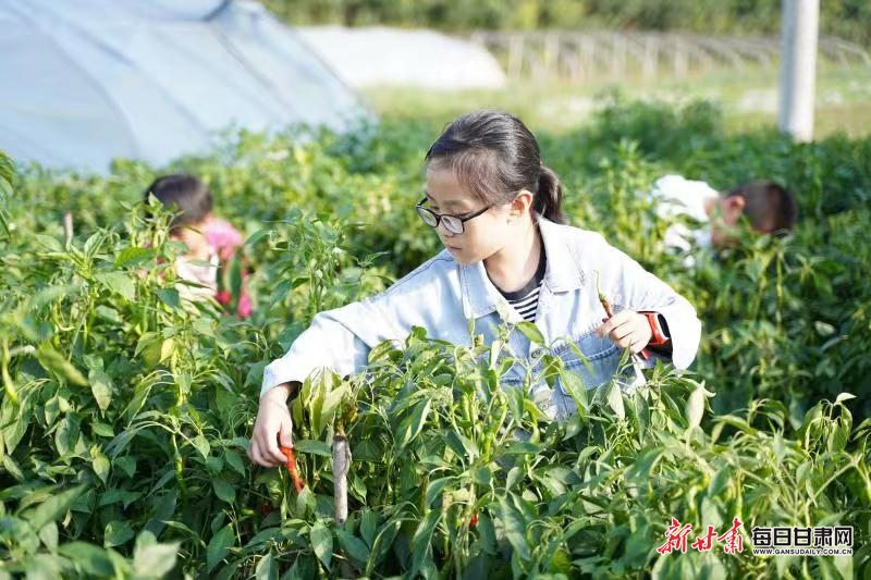 【平凉】劳动实践开启平凉崇信中小学“开学第一课”_fororder_4