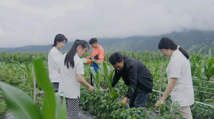 【2022企业社会责任】路易达孚丨乡村创变者可持续农业青年行动_fororder_截图20220909135406