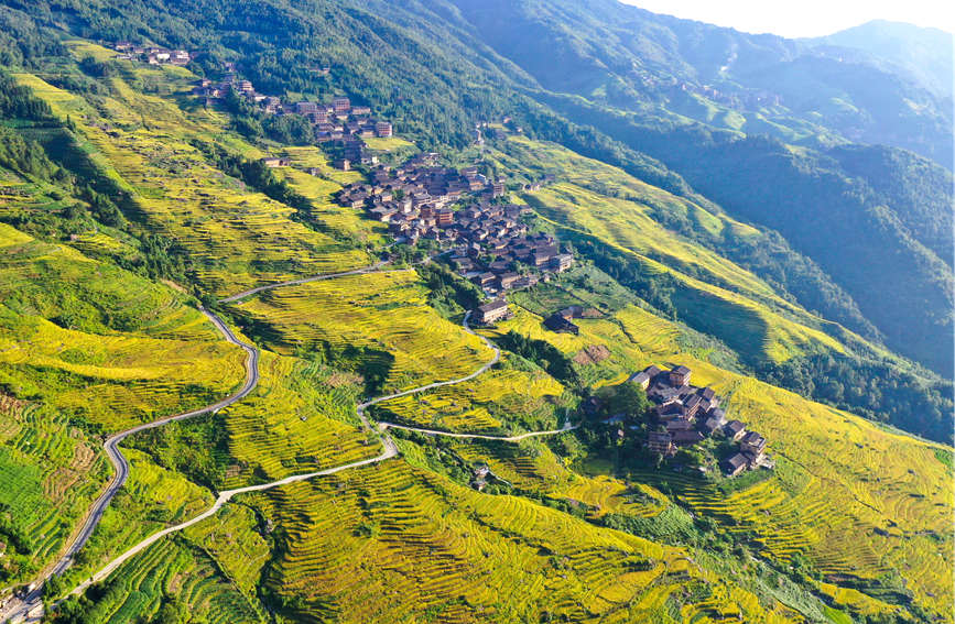 广西龙胜：梯田秋色扮美乡村