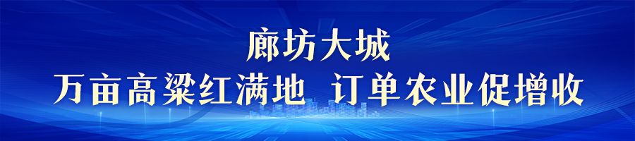 金色收获 美丽河北｜中秋迎丰收 田野果实香