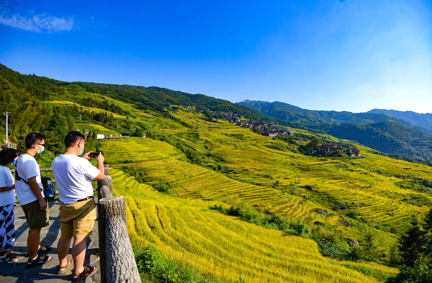 广西龙胜：梯田秋色扮美乡村