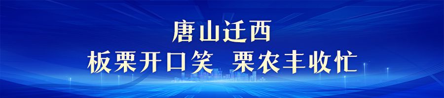 金色收获 美丽河北｜中秋迎丰收 田野果实香