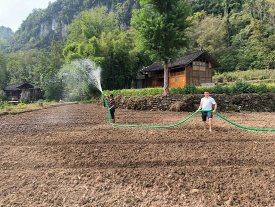 贵州思南：开展秋冬种植 盘活土地资源_fororder_兴隆乡山羊岩村油菜育苗基地人工洒水。兴隆乡供图